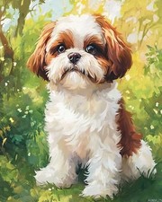 Colorful Paint by Number Kit for Adults DIY Canvas Oil Painting Home Wall Art