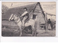 BOUCHES-du-RHONE: manade de l'amarée, le gardien dagan sur le cheval Le Fouqu