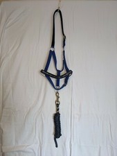Horse Halter "Barb Wire" Royal Blue Overlay, Neoprene Lined, Triple Ply - NEW 
