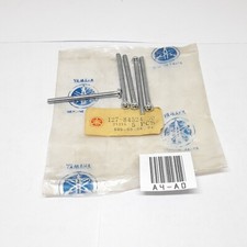 Yamaha TY50 YA3 YL YG RD50 FS50 FS1 XS DT Screw Tail Lamp Lens 127-84524-30 5pcs