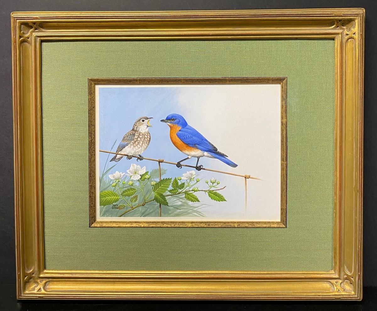 Orig. Bird Art Painting - Bluebird by Chuck Ripper, Signed, Framed