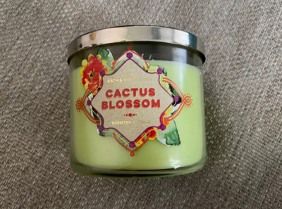Brandneu Bath & Body Works KAKTUSBLÜTE DUFTKERZE - 411 G! 