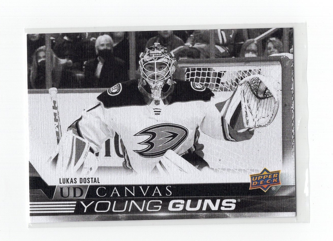 Lukas Dostal 2022/23 YOUNG GUNS UD CANVAS BLACK/WHITE C113
