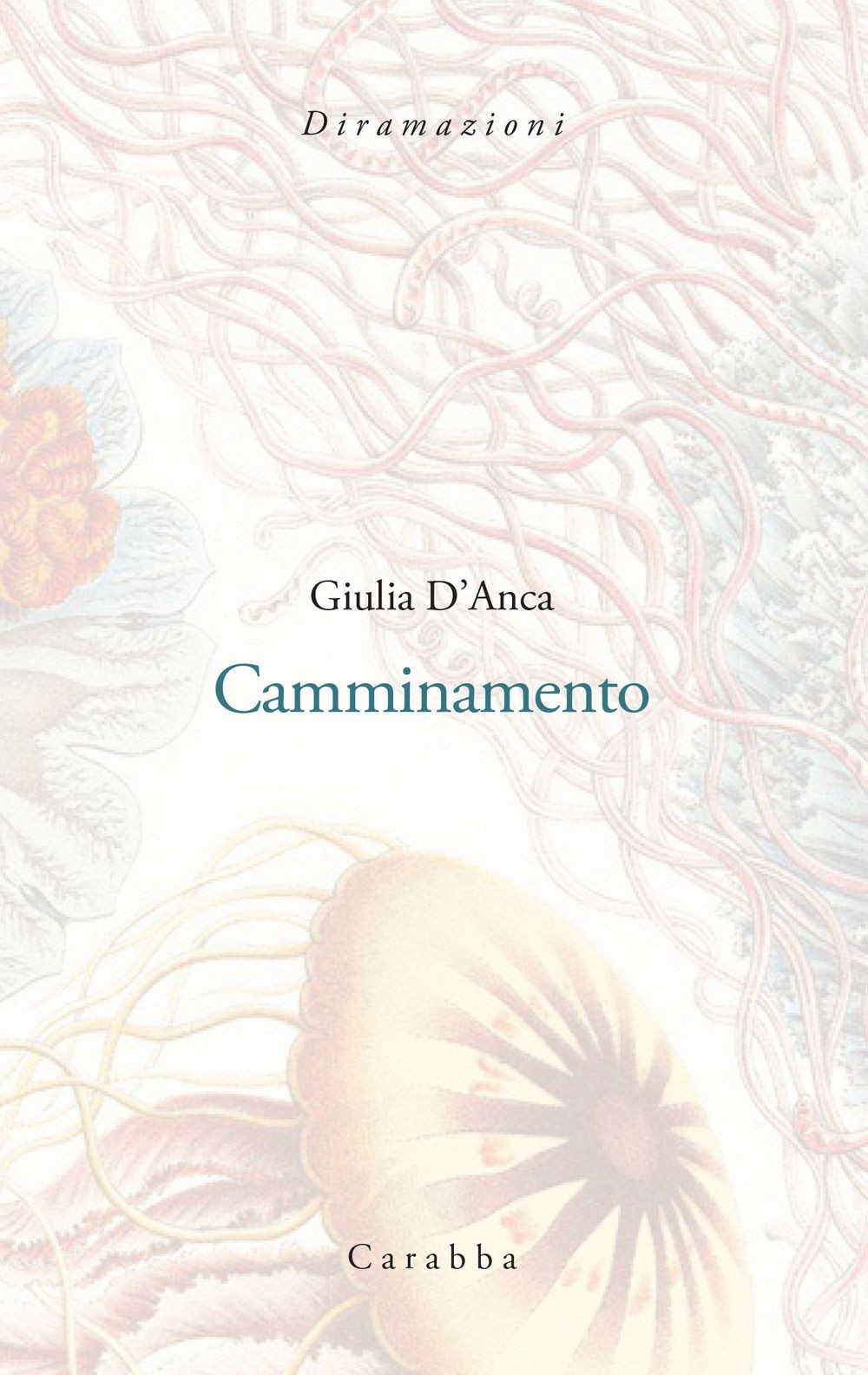Carabba Camminamento - Immagine 3