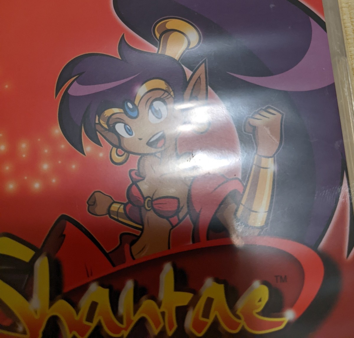 Shantae (Nintendo Switch, 2021) for sale online | eBay