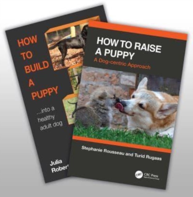 How to Raise a Healthy, Happy Dog by Julia  Robertson