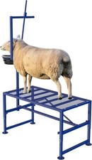 600 LBs Goat Stand with Feed Bin, Goat Milking Stand for Sheep Trimming and Milk