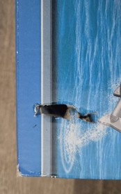 LEGO CITY: Harbor  4645 - Retired 2014- NEW - Factory Sealed - Rare