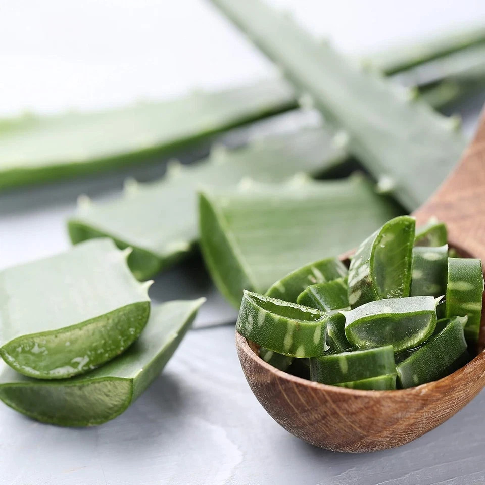 2 PK Aloe Vera Soothing Gel Mist Skin Hydration Organic Plant Extracts 3.9 fl oz