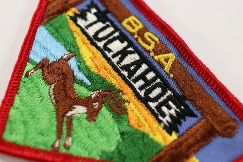 Vintage BSA Tuckahoe Hirsch bestickt Twill Pfadfinder Amerika Camp Aufnäher - Bild 2 von 4