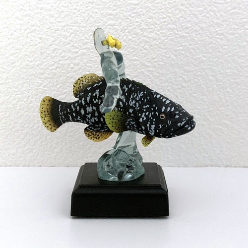 Otra figura iluminada de acuario Vol.2 EPINEPHELUS LANCEOLATUS peces naturaleza - Imagen 5 de 9
