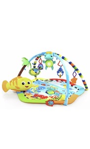 baby einstein reef play gym
