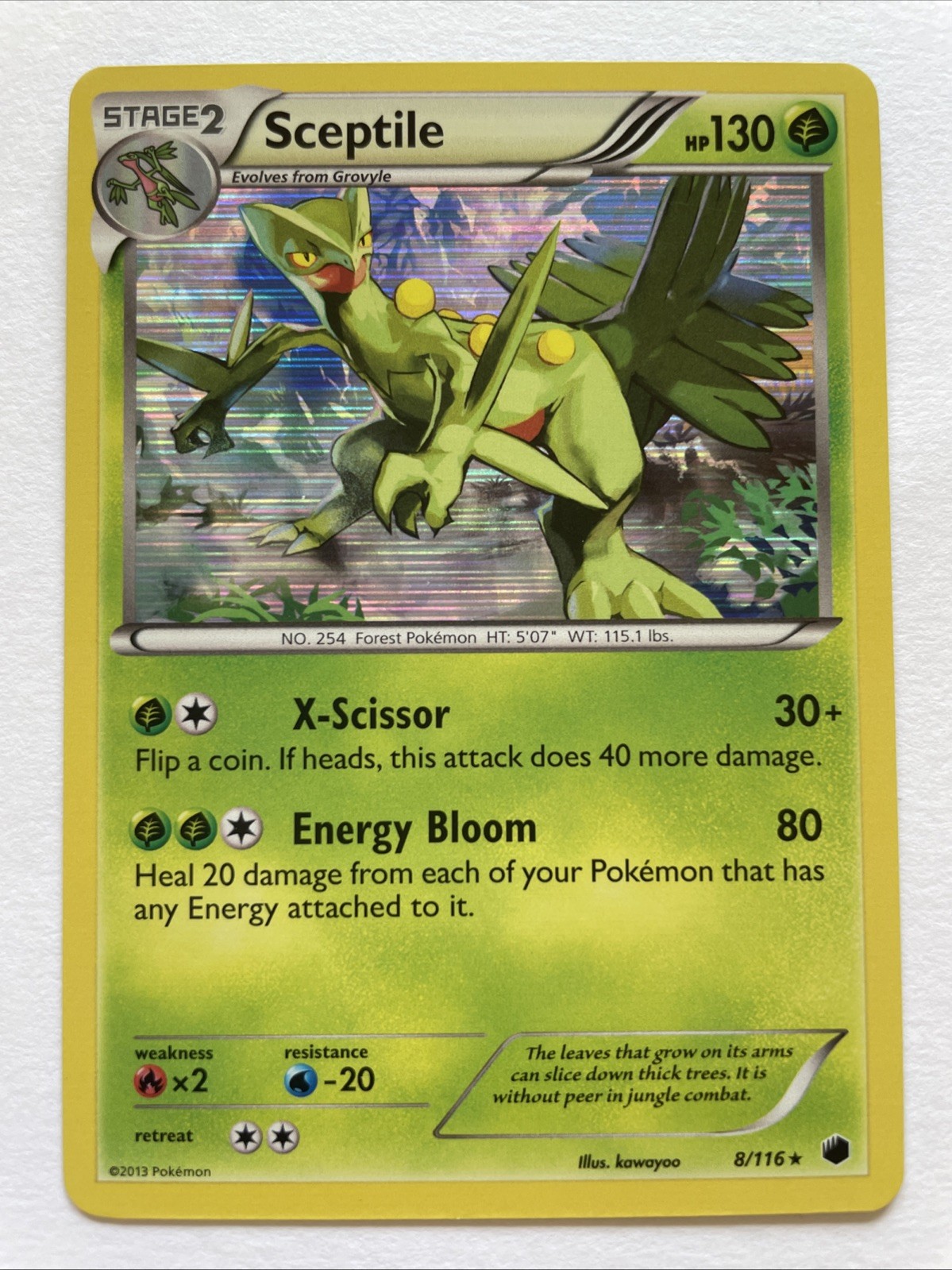 Sceptile Holo 8/116 Plasma Freeze LP