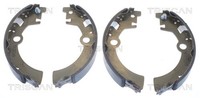 Triscan Bremsbackensatz 8100 69600 FüR Wagon Suzuki EM MH21 MH22 RC410 SR410 4WD