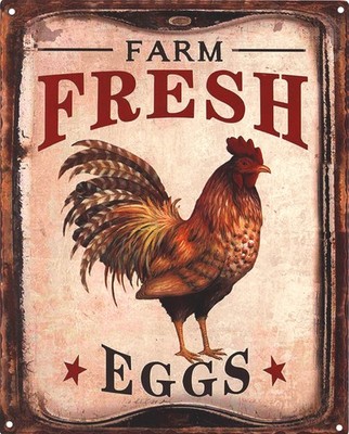 Blechschild 20 x 25 cm Farm Fresh Eggs Frische Eier Vintage-Design Metall Schild