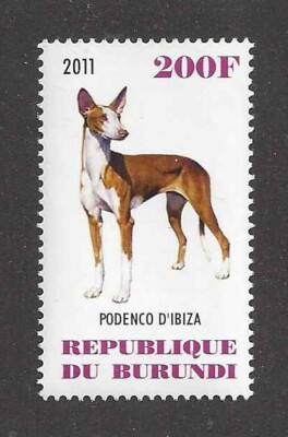 Super Superior Dog Art Body Portrait Postage Stamp IBIZAN HOUND Burundi 2011 MNH