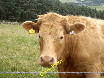 Photo 12x8 One hundred and - EIGHTY! Torphins How could we have known that c2012
