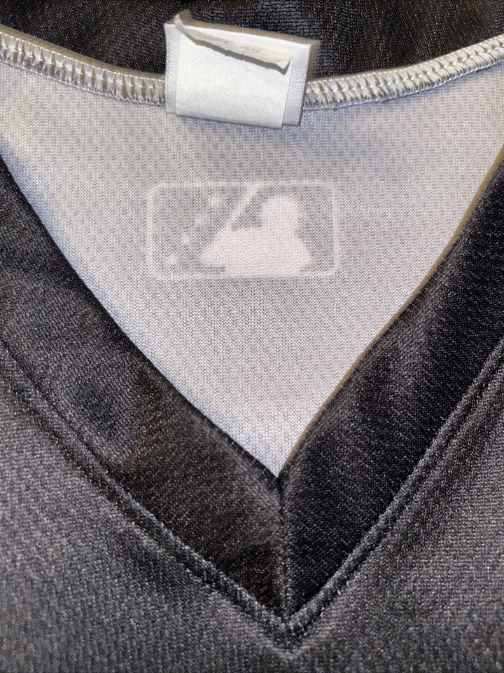 Ethan Salas Signed Game Worn 12 Ft. Wayne Tincaps Jersey Used Photo