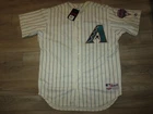 Steve Finley Arizona Diamondbacks MLB Rawlings Jersey 48 NEW Autograph SIGNED GA