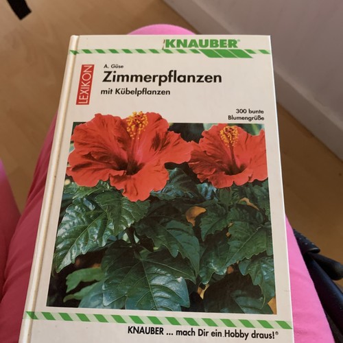 Lexikon Zimmerpflanzen Knauber