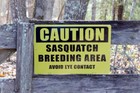 "Warning Sasquatch Breeding Area Avoid Eye Contact" 12" Yard Sign Free Shipping