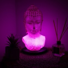 Buddha Bust Lamp Cherry Pink Glow Crackle Effect Fibreglass Table Lamp UK Plug