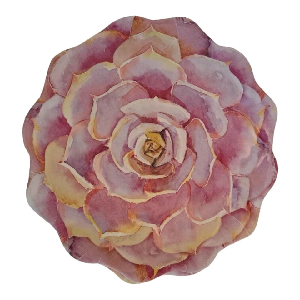 Nicole Miller Melamina 6 Platos de Cena 11" Rosa Flor Floral Borde Volantes Usado Foto 4 de 4