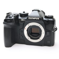 OM SYSTEM OM-1 Mirrorless Camera Body 342