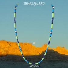 Native American Lapis Heishi Necklace