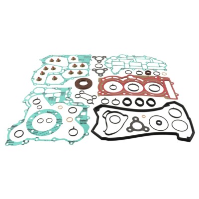 Ski-Doo Skandic WT & SWT 900 ACE, 2015-2017, Full Gasket Set with Seals