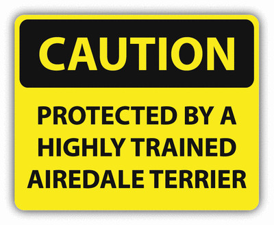 Caution Protected By Trained Airedale Terrier Car Bumper Sticker Decal 5'' x 4''