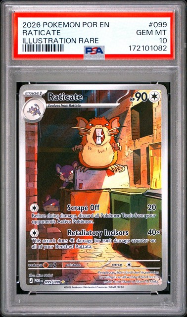 Raticate #99 (Perfect Order)