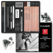 22pcs Charcoal Drawing Set for Professional and Beginner Artists