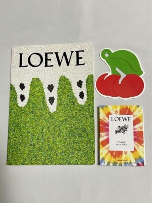 LOEWE Notebook 21 x 15 x 0.8cm 2024 Novelty Limited RARE New | eBay