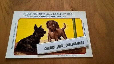 Hast du schon deine Pools gemacht Fido Bamforth Comic Postkarte 1845 verschickt 1962