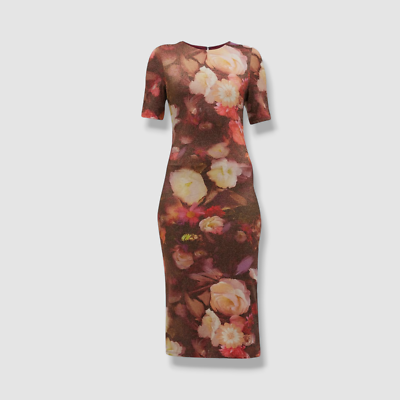 knee length dresses for ladies Layne Midi Dress main image 0