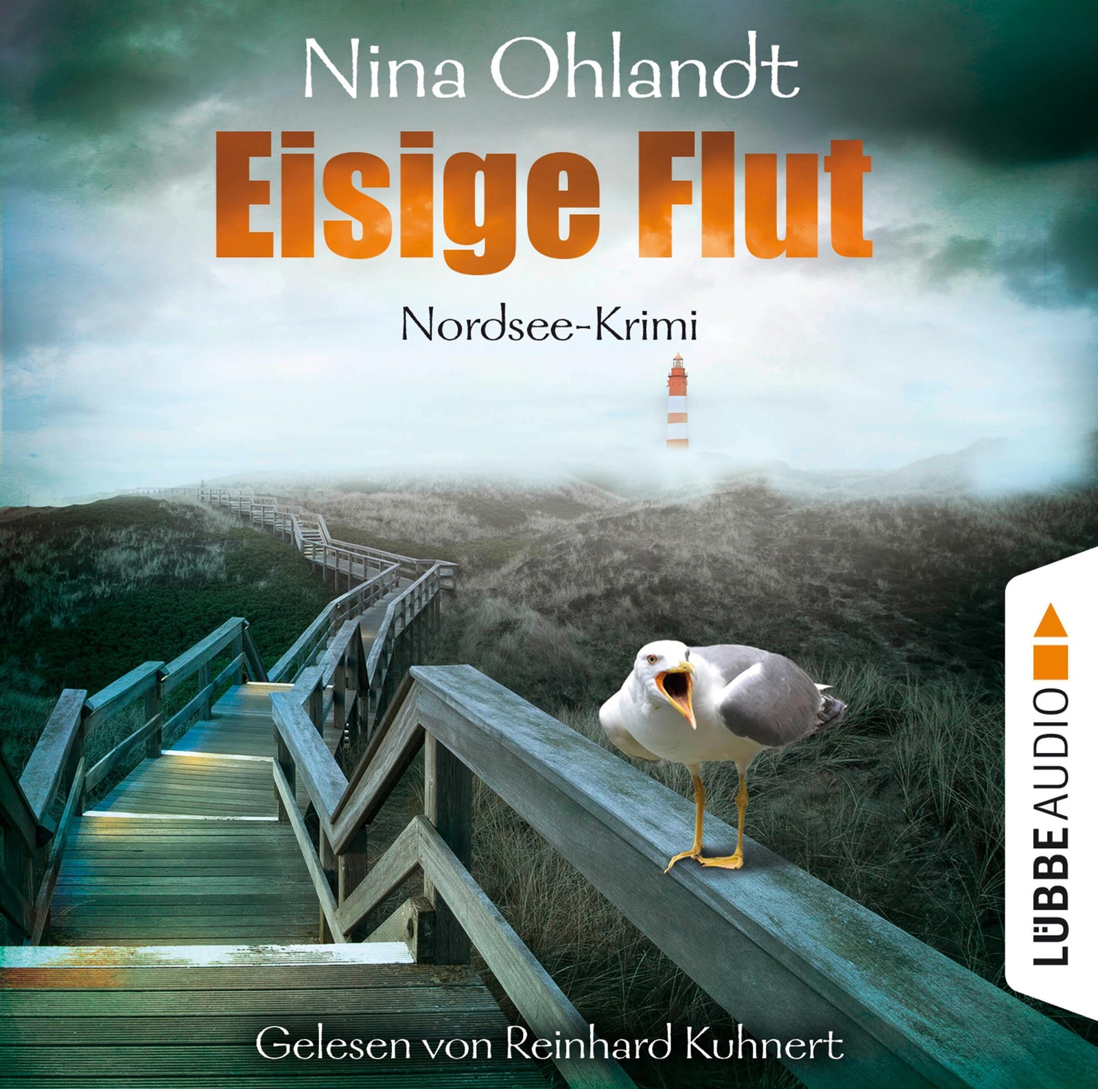 Thumbnail - Eisige Flut | John Benthiens Fünfter Fall. | Nina Ohlandt | Audio-cd |