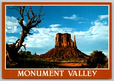 Monument Valley Arizona Scenic View Photo by Ray Manley Postcard