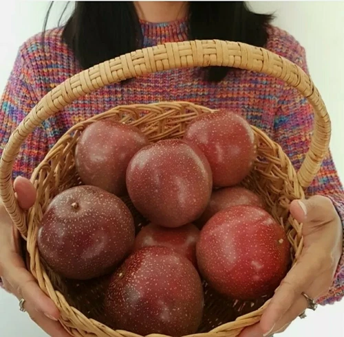 Purple Giant Passionfruit Seeds- RARE - Grower Heirloom Super Sweet Qld - Picture 3 of 3