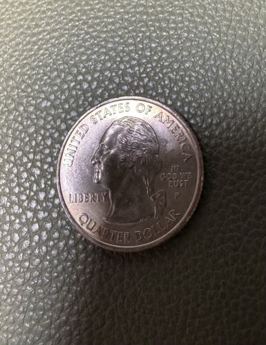 2005-P Kansas Quarter "In God We Rust" Error - Picture 4 of 4