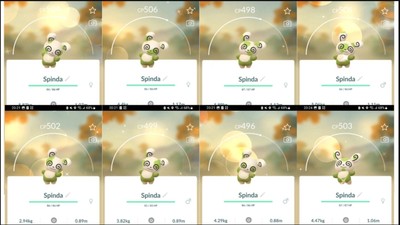  Shiny Spinda (Schillernd Pandir) Pattern 1 - 8 Pokemon GO  Registered or PTC