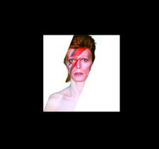David Bowie Sticker Decal