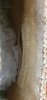 Bild 9 von 12