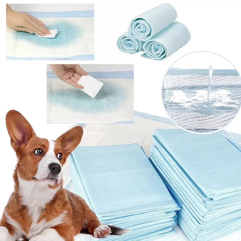 Potty pads for dogs deals