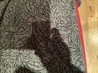 Picture 10 of 10