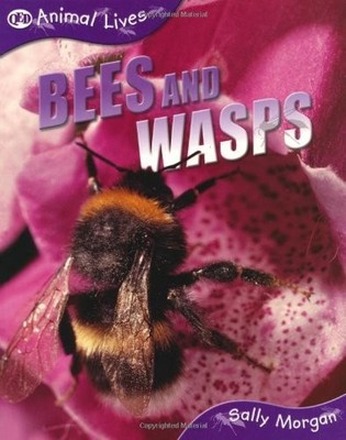 Bees and Wasps (QED Animal Lives)