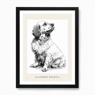 Clumber Spaniel Hund Linie Skizze 1 P gerahmtes Wandbild Poster Leinwanddruck Bild