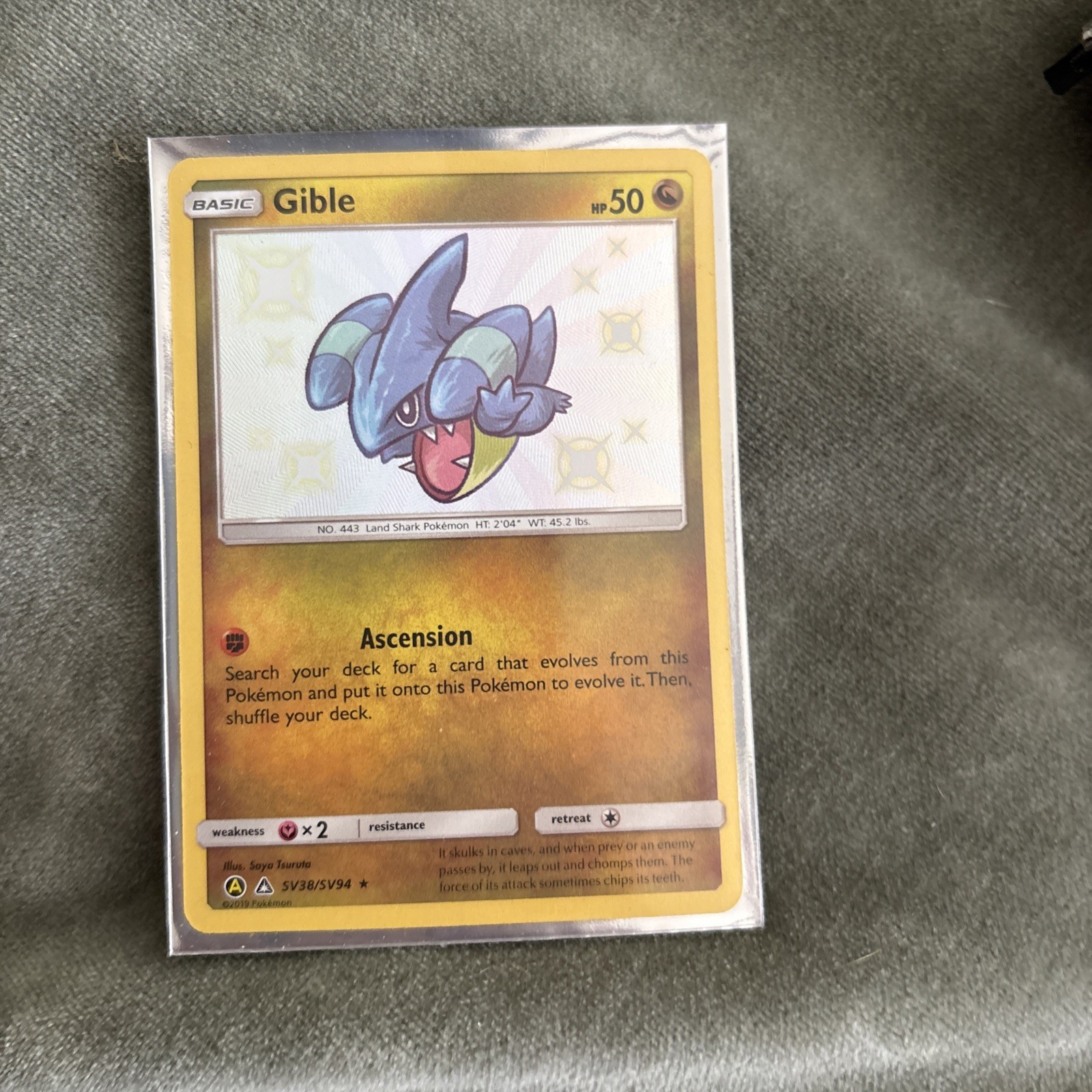 Gible SV38/SV94 Shiny Vault Rare Holo Pokémon 2019 Hidden Fates NM