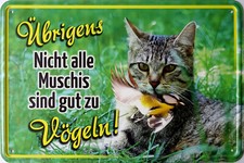 Blechschild Schild 20x30 cm - nicht alle Muschis gut zu v&ouml;geln Katze Geschenk