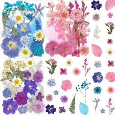 52Pcs Dried Pressed Flowers Assorted Dry Leaves Floral for DIY Art Nails Decors